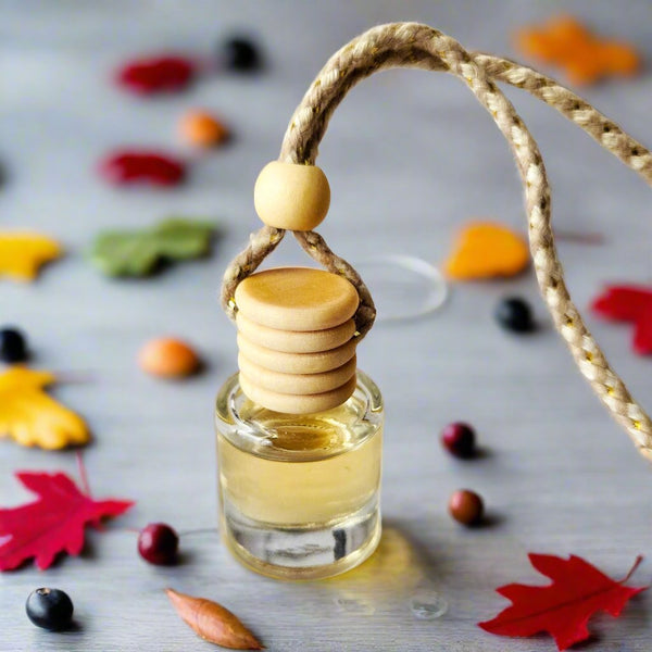 Hanging Car Diffuser
