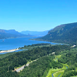Vista House View Shea Butter Soap | Pine Balsam Fir Cedar