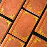 The Wolf Shifter Tome Handcrafted Soap | Smooth Bourbon and Oak